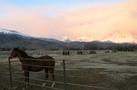 View in real size!