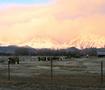 View in real size!