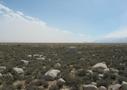 View in real size!