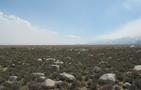 View in real size!