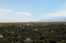 View in real size!