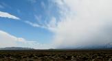 View in real size!