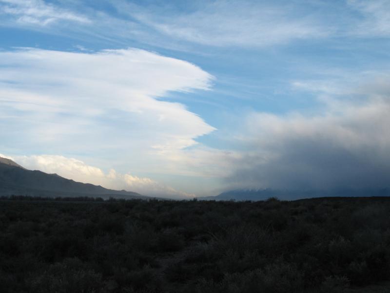 26.03.2006 01:48 UTC