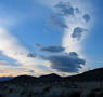 View in real size!