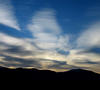 View in real size!