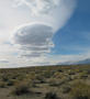 View in real size!