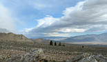 View in real size!