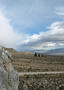 View in real size!