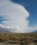 View in real size!