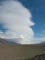 View in real size!