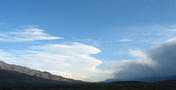 View in real size!