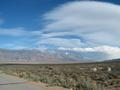 View in real size!