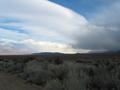 View in real size!